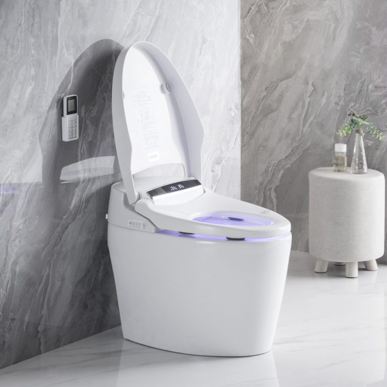 Best Bidet For Big Person