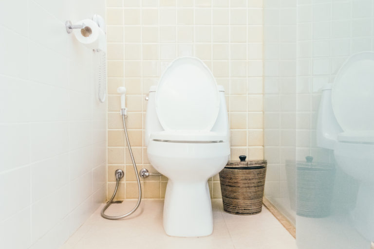 Bathroom Bidet Definition